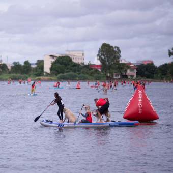 INFLATABLE SUP BOARD MISHIMO TAHO 17.0